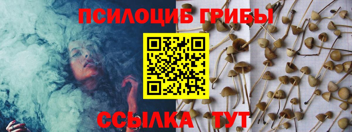 Тихвин  наркошоп  Вход с VPN  Псилоцибиновые грибы мицелий  Галлюциногенные грибы Cubensis 